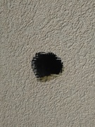 oprava zateplení výškové práce Praha strakapoud ptáci otvor díra